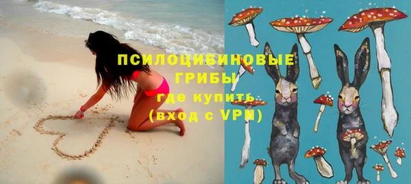 гидра Покров
